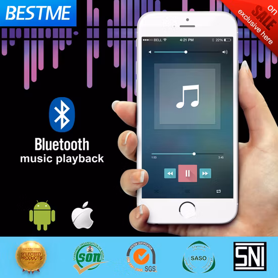 Fabrik große Cerling-Dusche 600 x 800 Musik-Edelstahl-LED-Deckenregendusche Wasserfall-Duscharmatur (BMC-9049D)